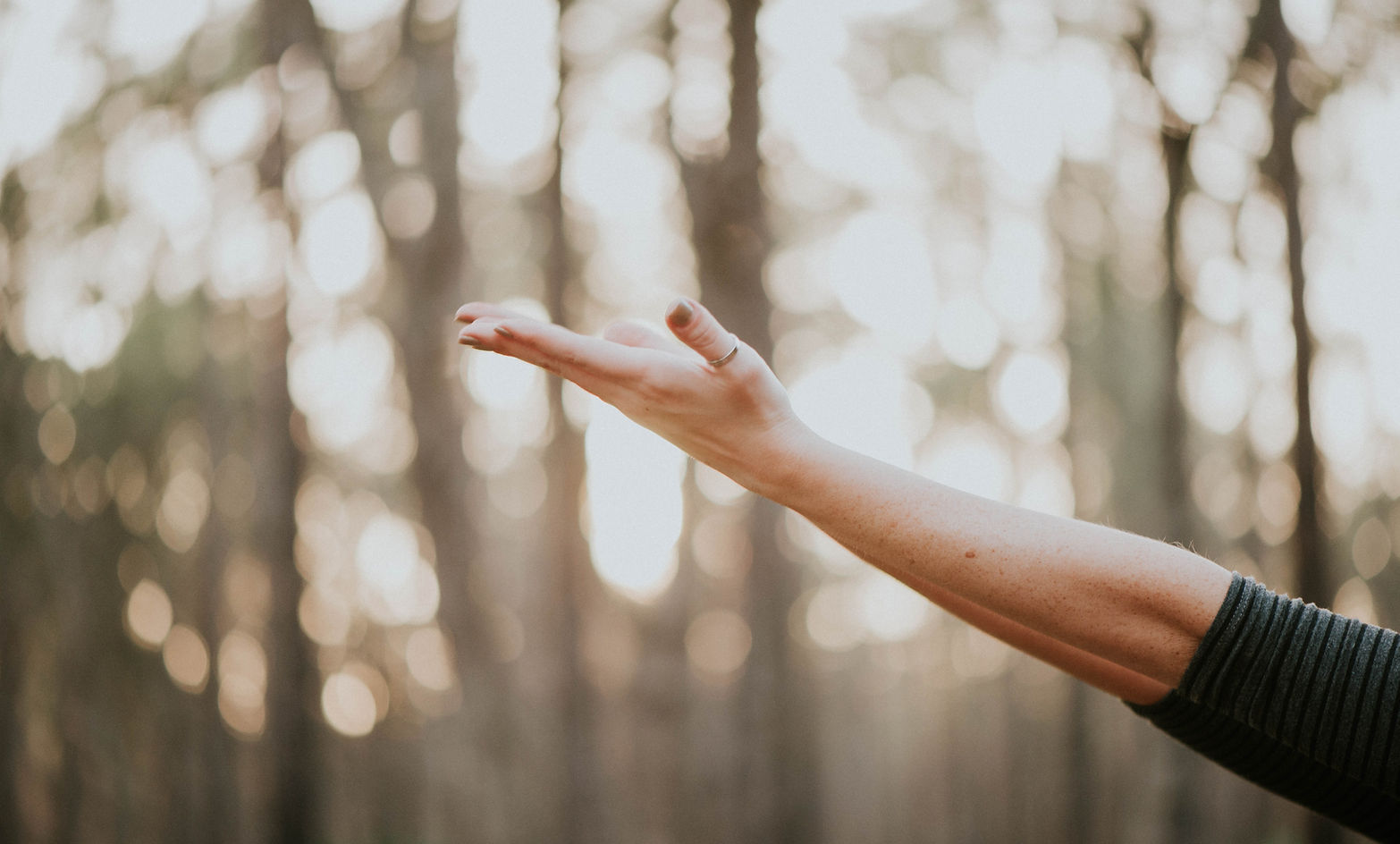 Somatic wellness and body awareness practice